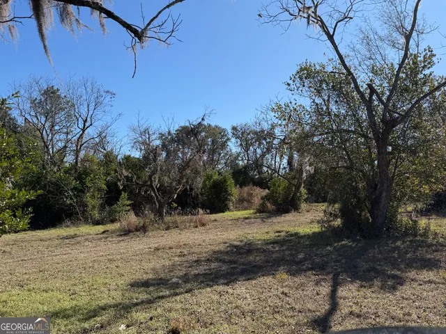 a view of a backyard with large trees
