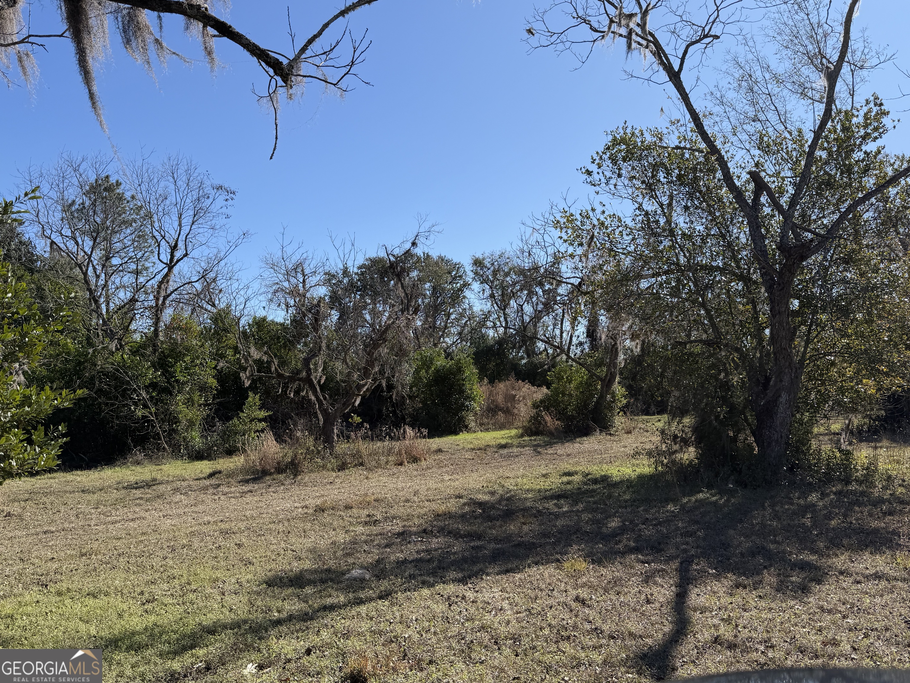 174 Baskins Road Lakeland, GA 31635 - Photo 5 of 5 a view of a backyard with large trees