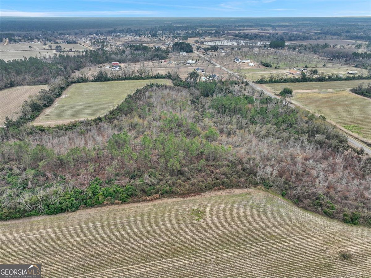 174 Baskins Road Lakeland, GA 31635 - Photo 8 of 10 a view of a lake view