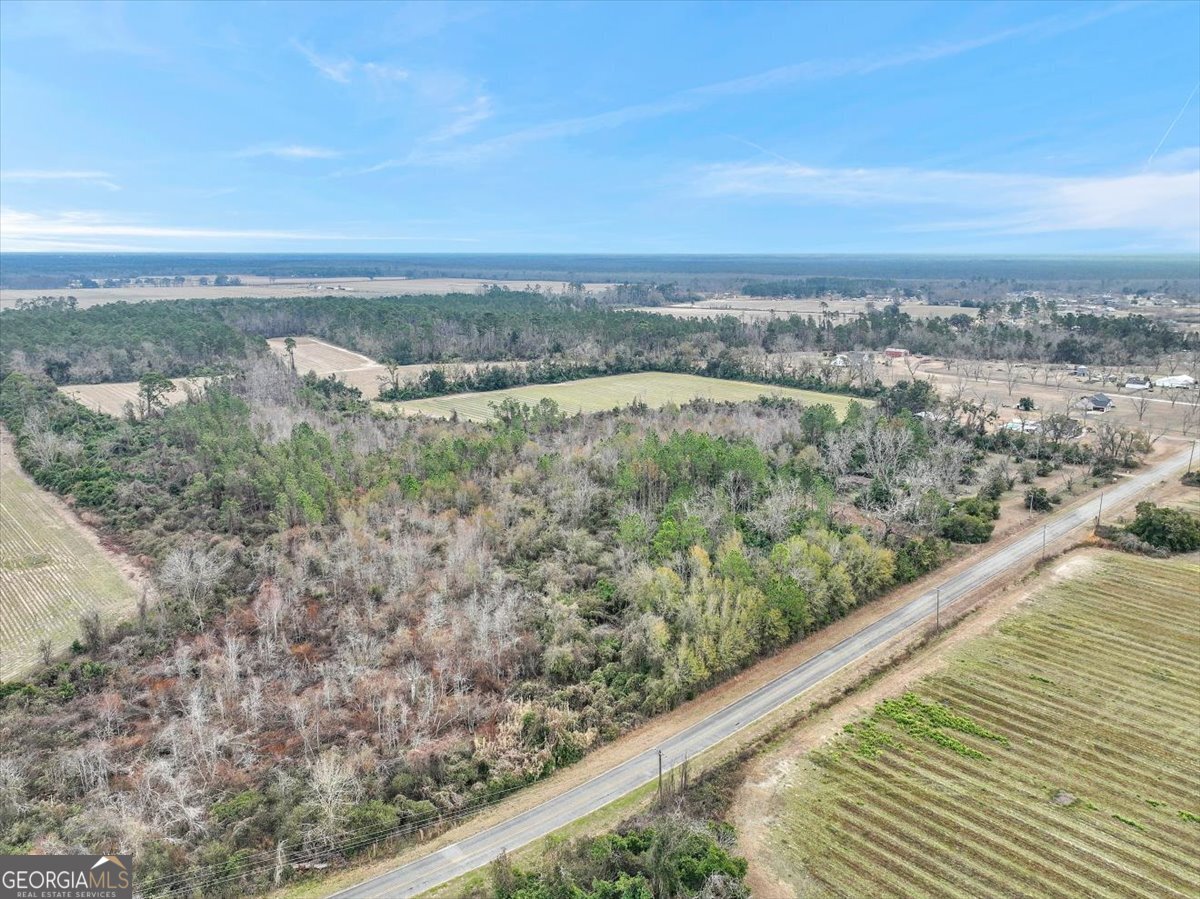 174 Baskins Road Lakeland, GA 31635 - Photo 10 of 10 a view of city and mountain
