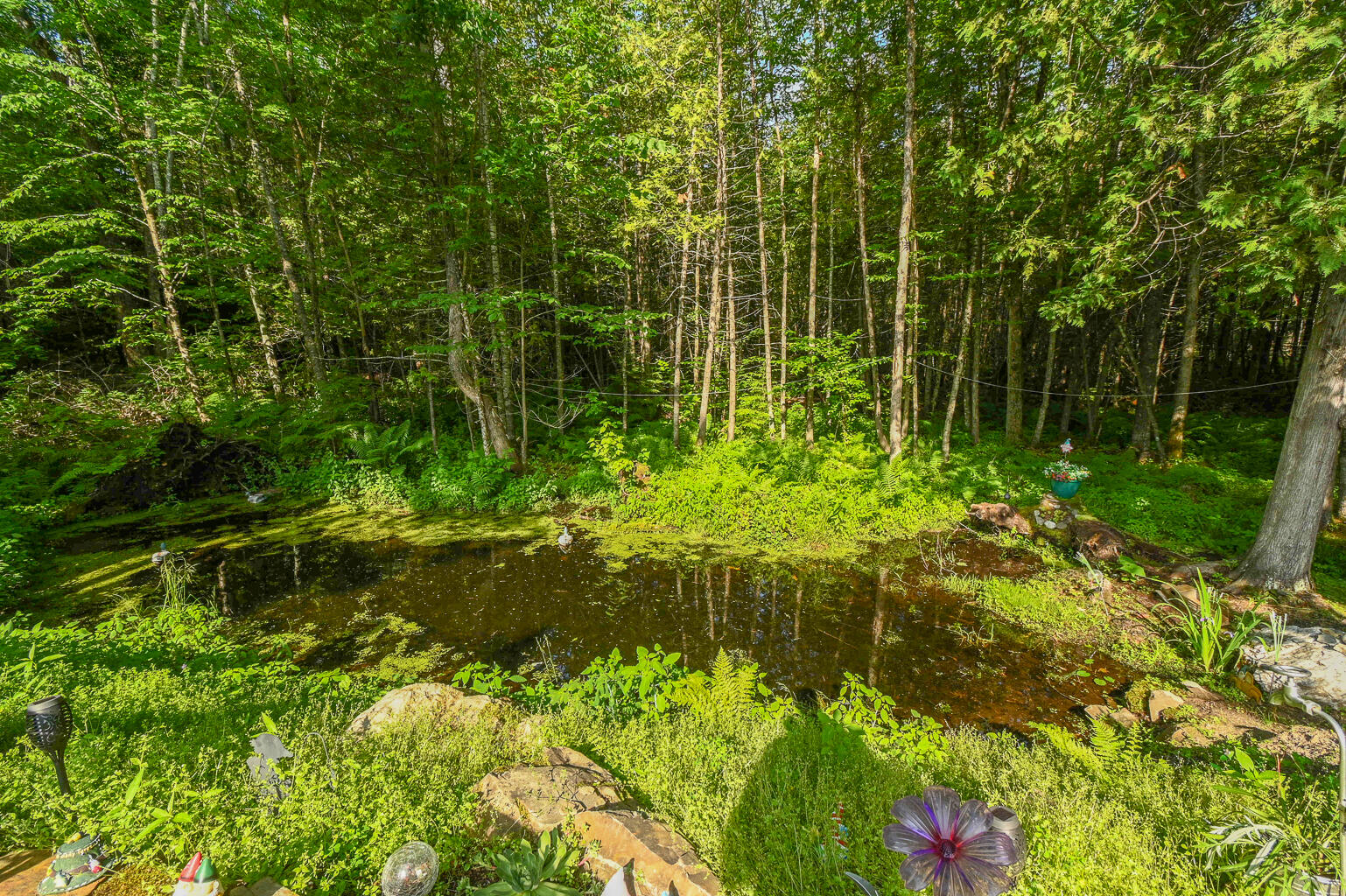 156 Mayfield Road Moscow, ME 04920 - Photo 36 of 64 Moscow-23