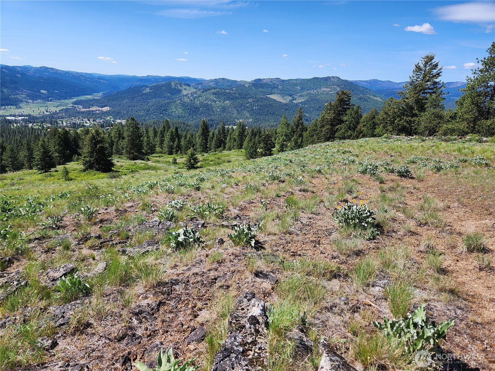 0 East Knob Hill Road Republic, WA 99166 - Photo 4 of 9 a view of a lush green hillside and a mountain