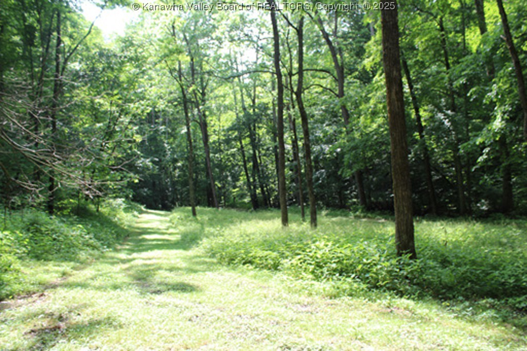 2801 Rock Creek Road Foster, WV 25081 - Photo 11 of 46 Gallery Image 11