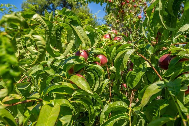 a view of a house with patio