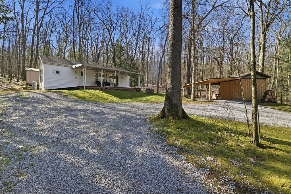 356 German Hill Road Tionesta, PA 16353 - Photo 1 of 37 a view of a house with backyard and trees