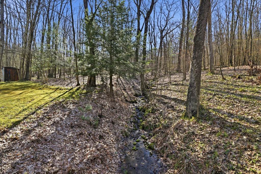 356 German Hill Road Tionesta, PA 16353 - Photo 36 of 37 a view of a yard with trees