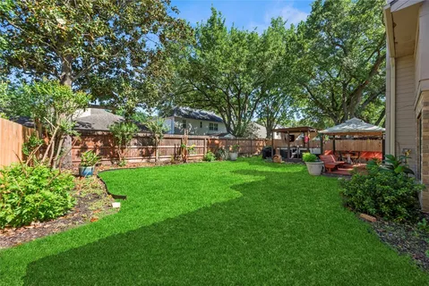 a view of a yard with plants and large trees