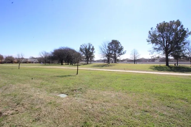 a view of a field with trees