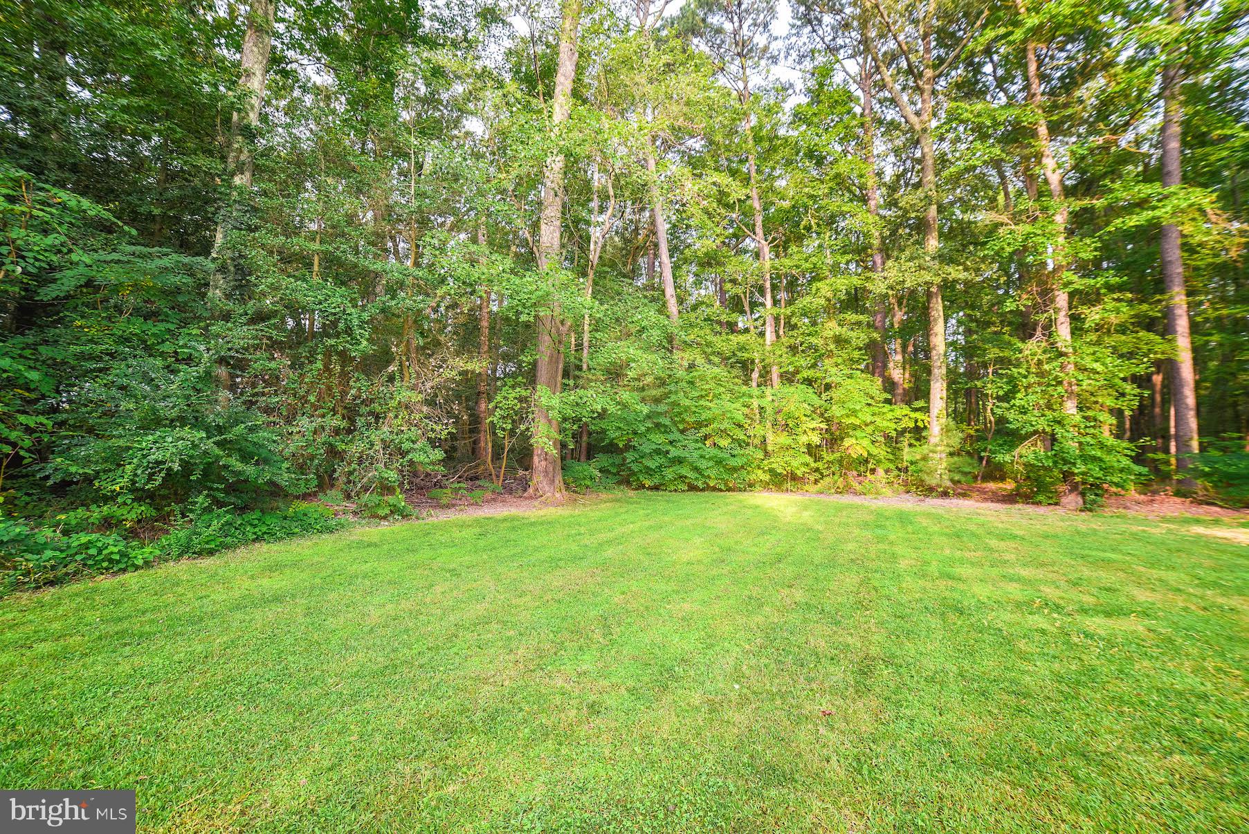 44415 Tall Timbers Road Tall Timbers, MD 20690 - Photo 14 of 74 Private Yard