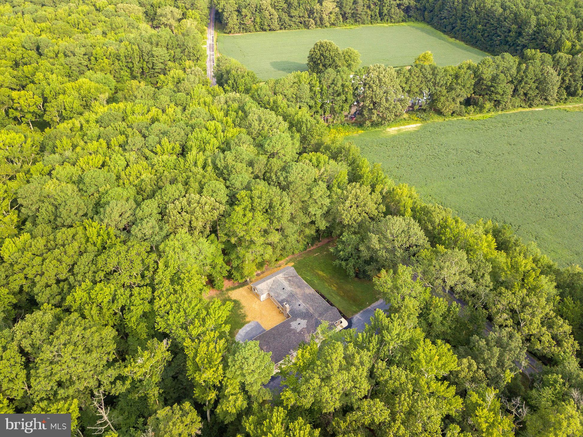 44415 Tall Timbers Road Tall Timbers, MD 20690 - Photo 22 of 74 Private lot