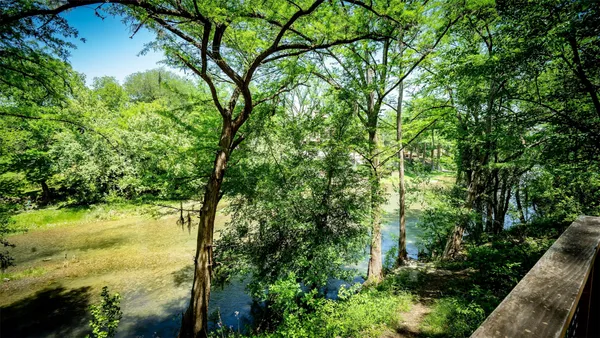 a view of a lake from a yard