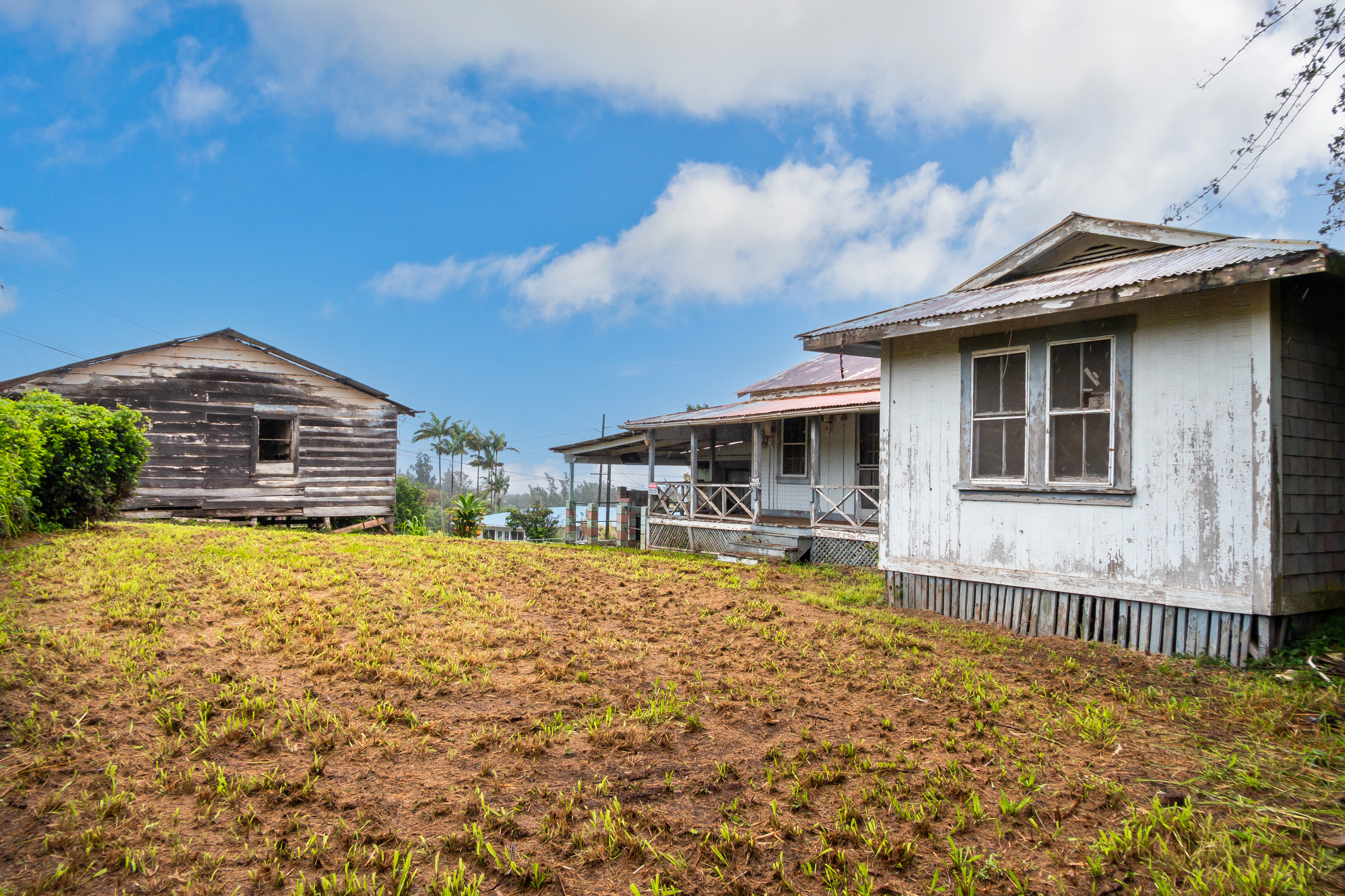 44-2906 Kalopa Road Honokaa, HI 96727 - Photo 6 of 29 a front view of house with yard outdoor seating and barbeque oven
