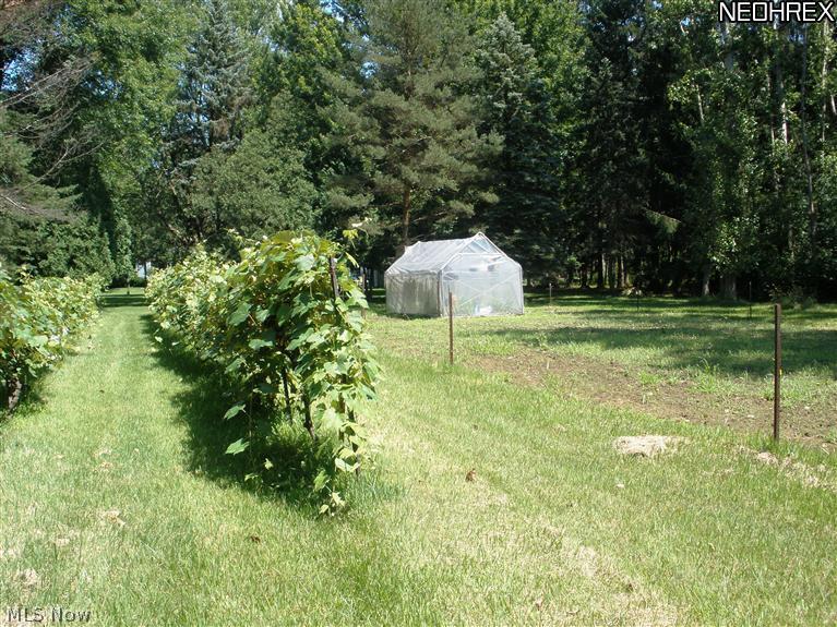 5188 Stoney Ridge Road North Ridgeville, OH 44039 - Photo 23 of 25