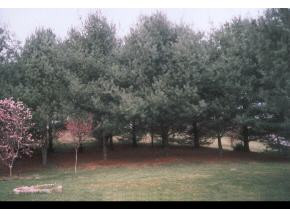 309 Ramey Road Bristol, TN 37620 - Photo 8 of 9 Photo 8