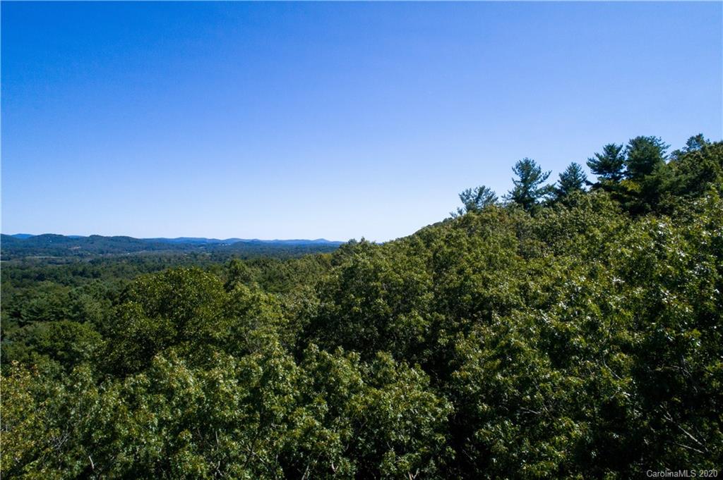 100 North Rugby Road Hendersonville, NC 28791 - Photo 2 of 4 Gallery Image 2