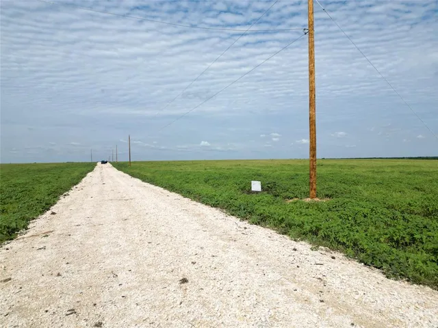 a view of a garden with an empty space
