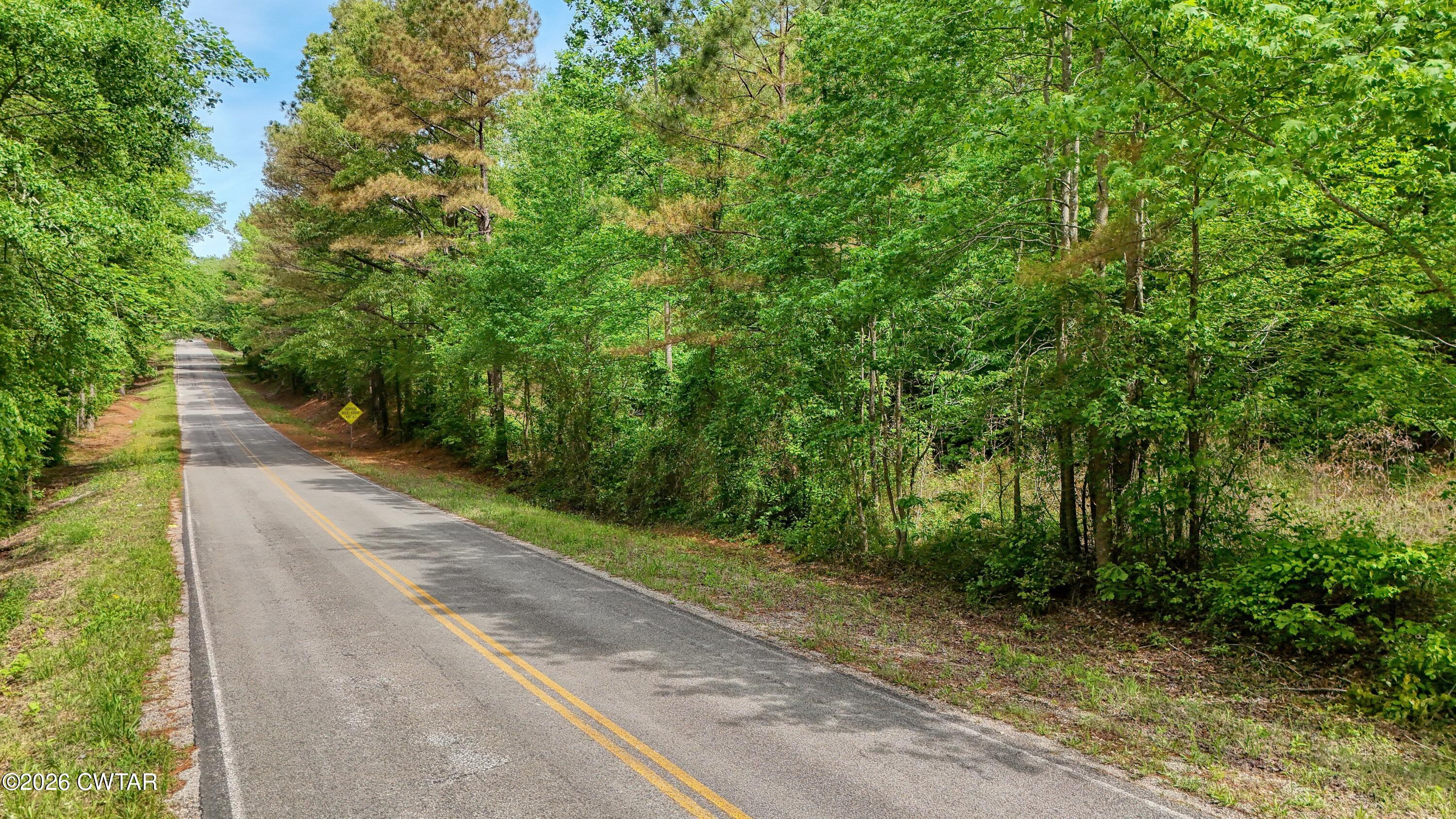 810 Sawyers Mill Road Bruceton, TN 38317 - Photo 14 of 14 a view of a pathway with a yard