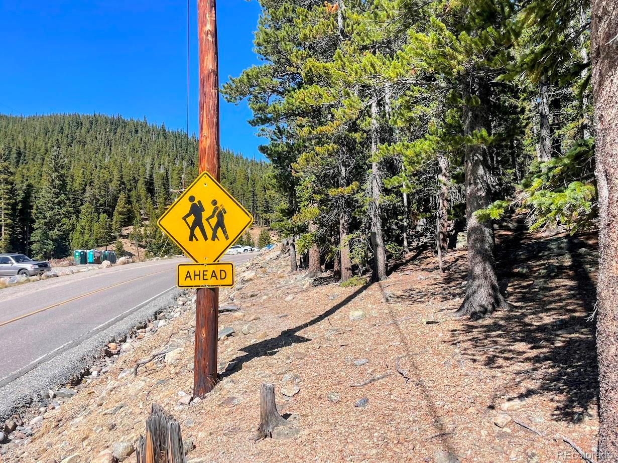0 Fall River Road Idaho Springs, CO 80452 - Photo 4 of 14 Gallery Image 4