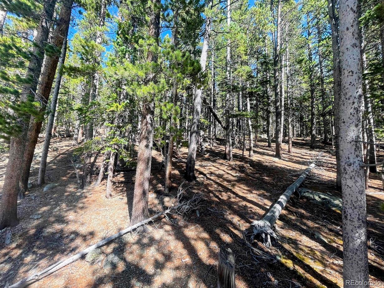 0 Fall River Road Idaho Springs, CO 80452 - Photo 5 of 14 Gallery Image 5