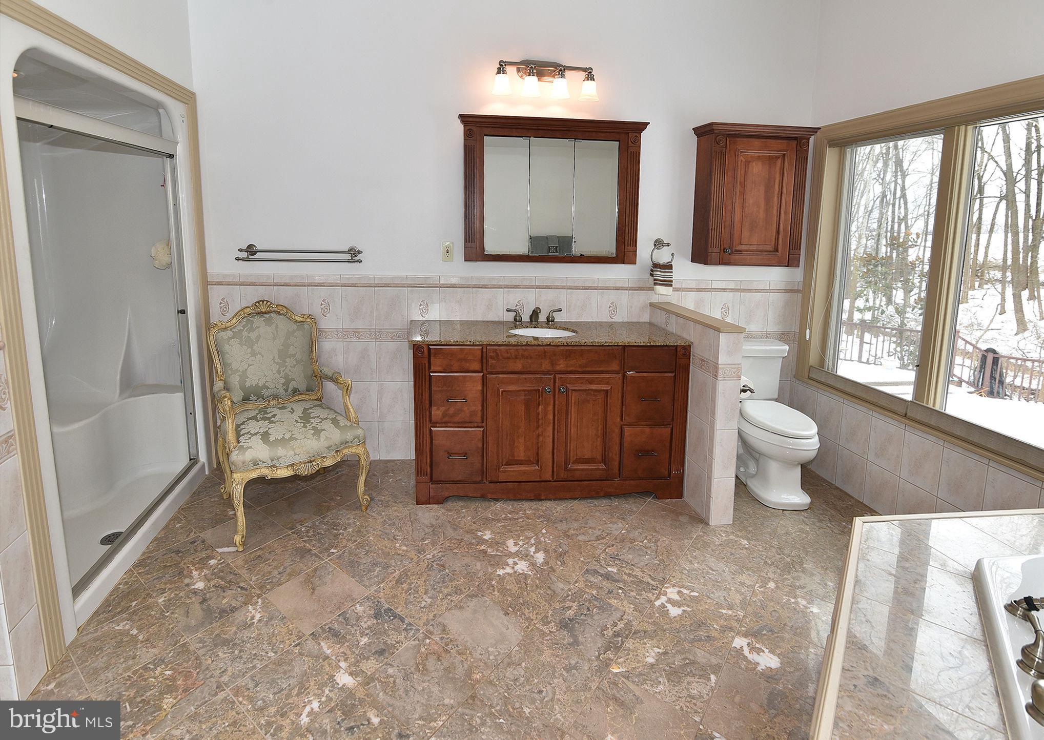 13600 Devonbrook Road Baldwin, MD 21013 - Photo 8 of 36 LG MBTH soak tub sep shower nat light marble flr