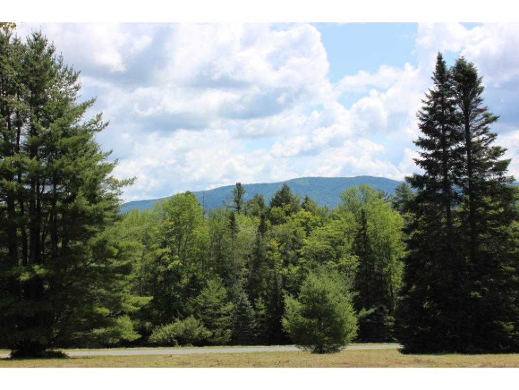 2021 Winhall Hollow Road Londonderry, VT 05155 - Photo 4 of 36 Gallery Image 4