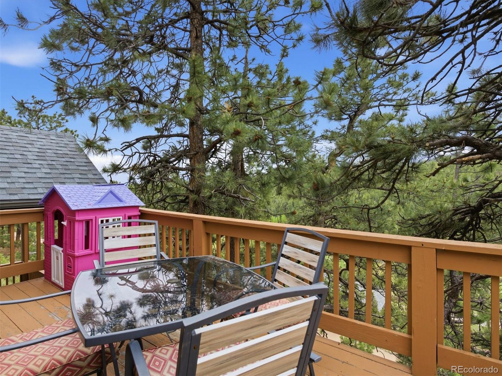 117 Spruce Trail Bailey, CO 80421 - Photo 32 of 47