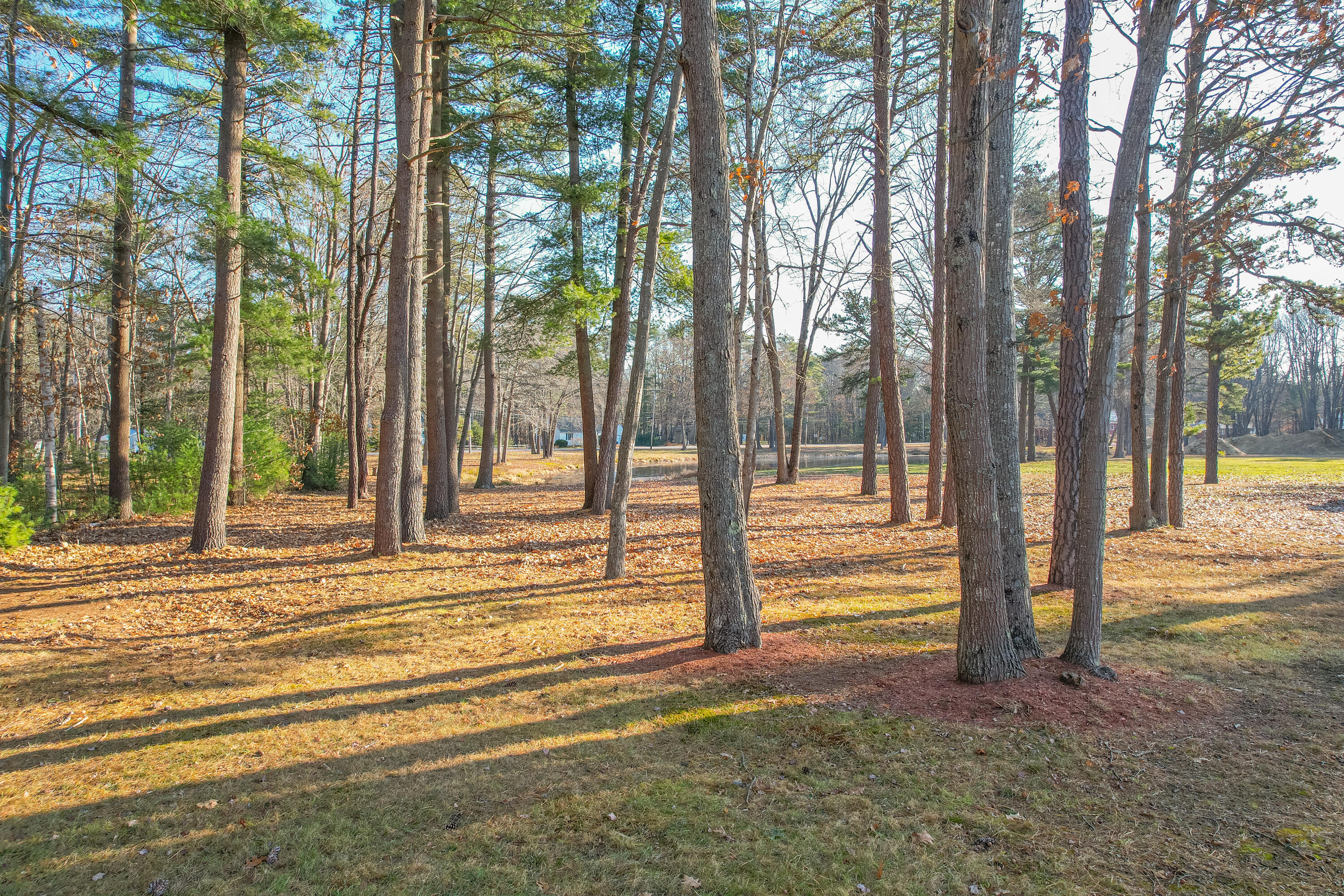 10 Amos Way Brunswick, ME 04011 - Photo 34 of 42 10AmosWayBrunswick-30