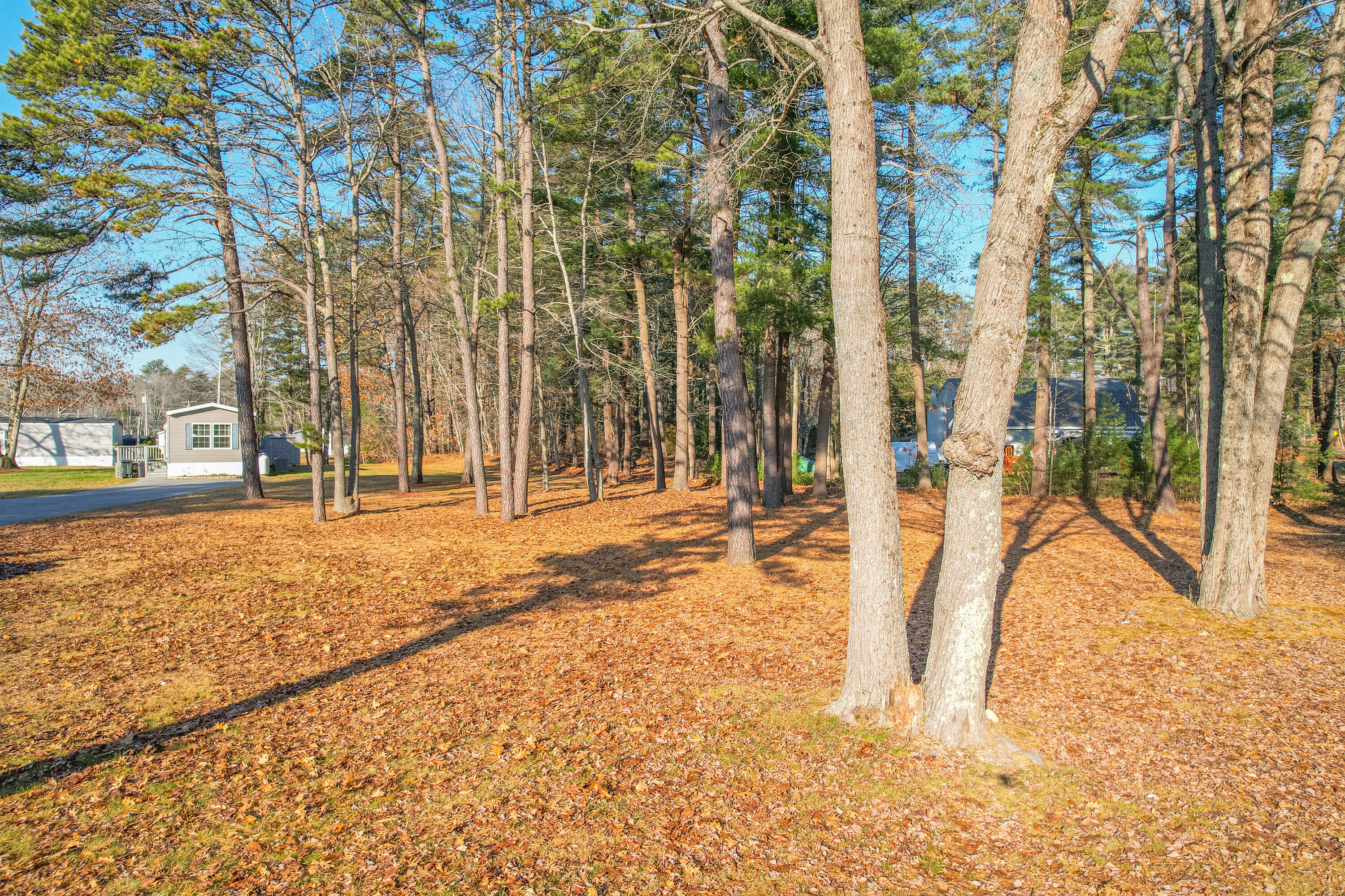 10 Amos Way Brunswick, ME 04011 - Photo 39 of 42 10AmosWayBrunswick-35