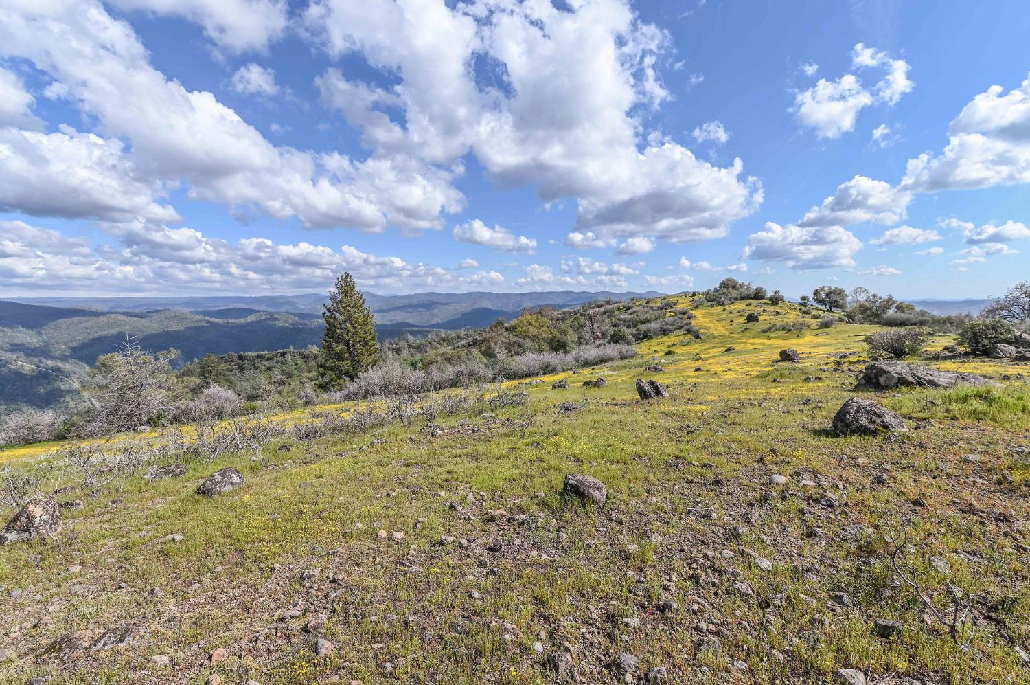 1 Pennsylvania Gulch Road Murphys, CA 95247 - Photo 14 of 40