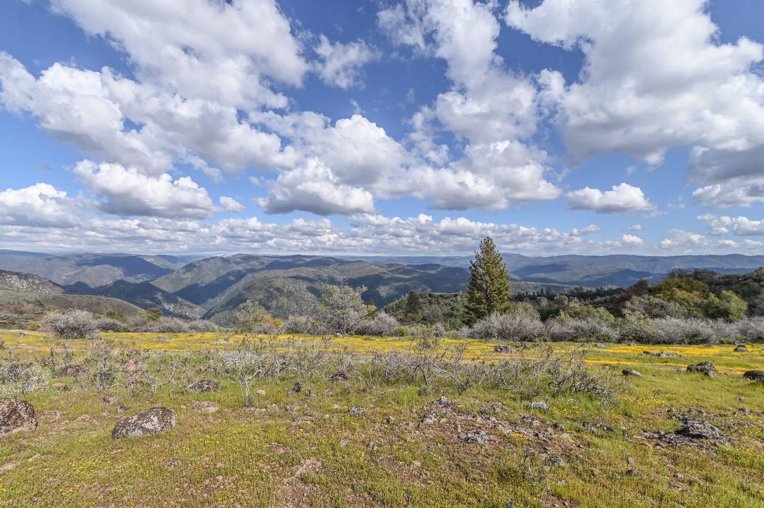 1 Pennsylvania Gulch Road Murphys, CA 95247 - Photo 15 of 40