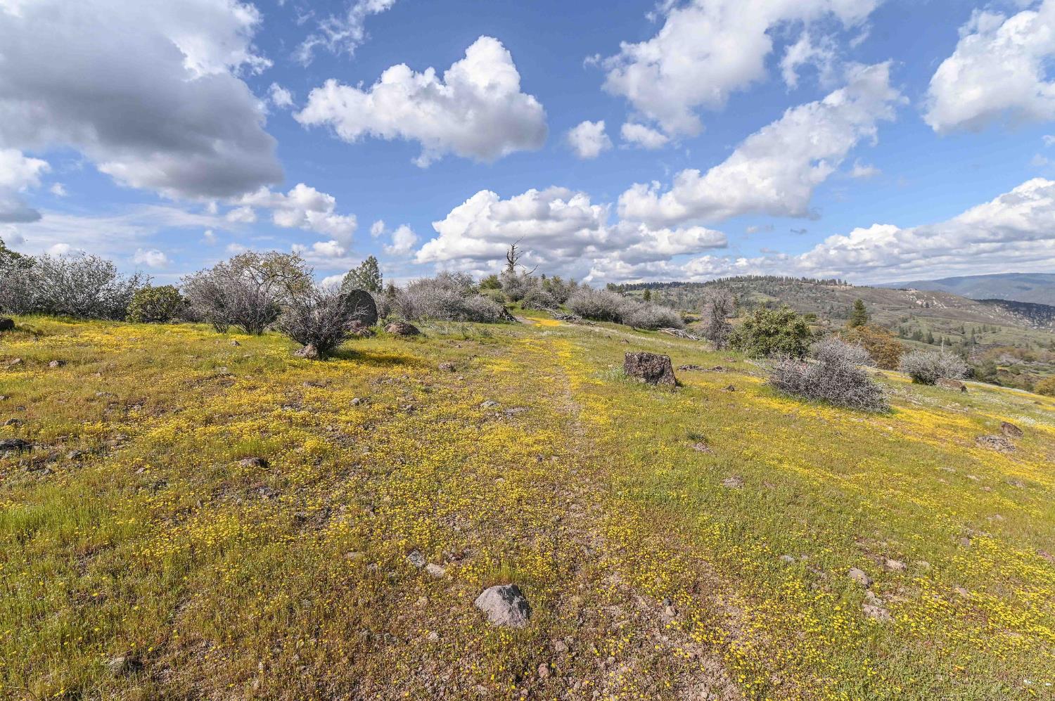 1 Pennsylvania Gulch Road Murphys, CA 95247 - Photo 16 of 40