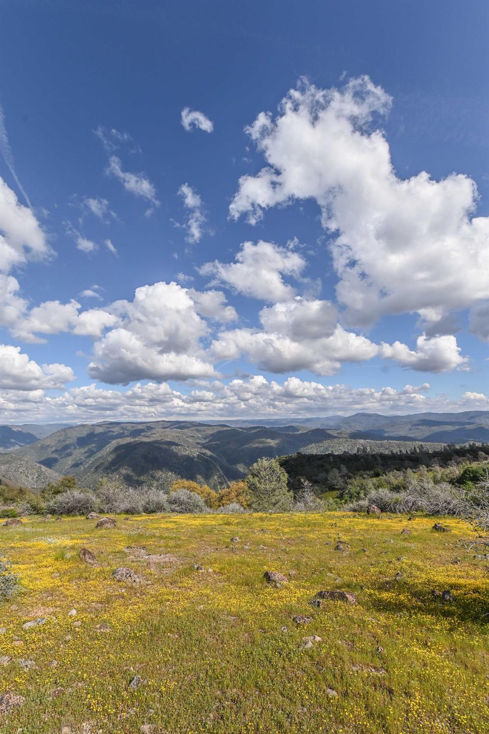 1 Pennsylvania Gulch Road Murphys, CA 95247 - Photo 17 of 40