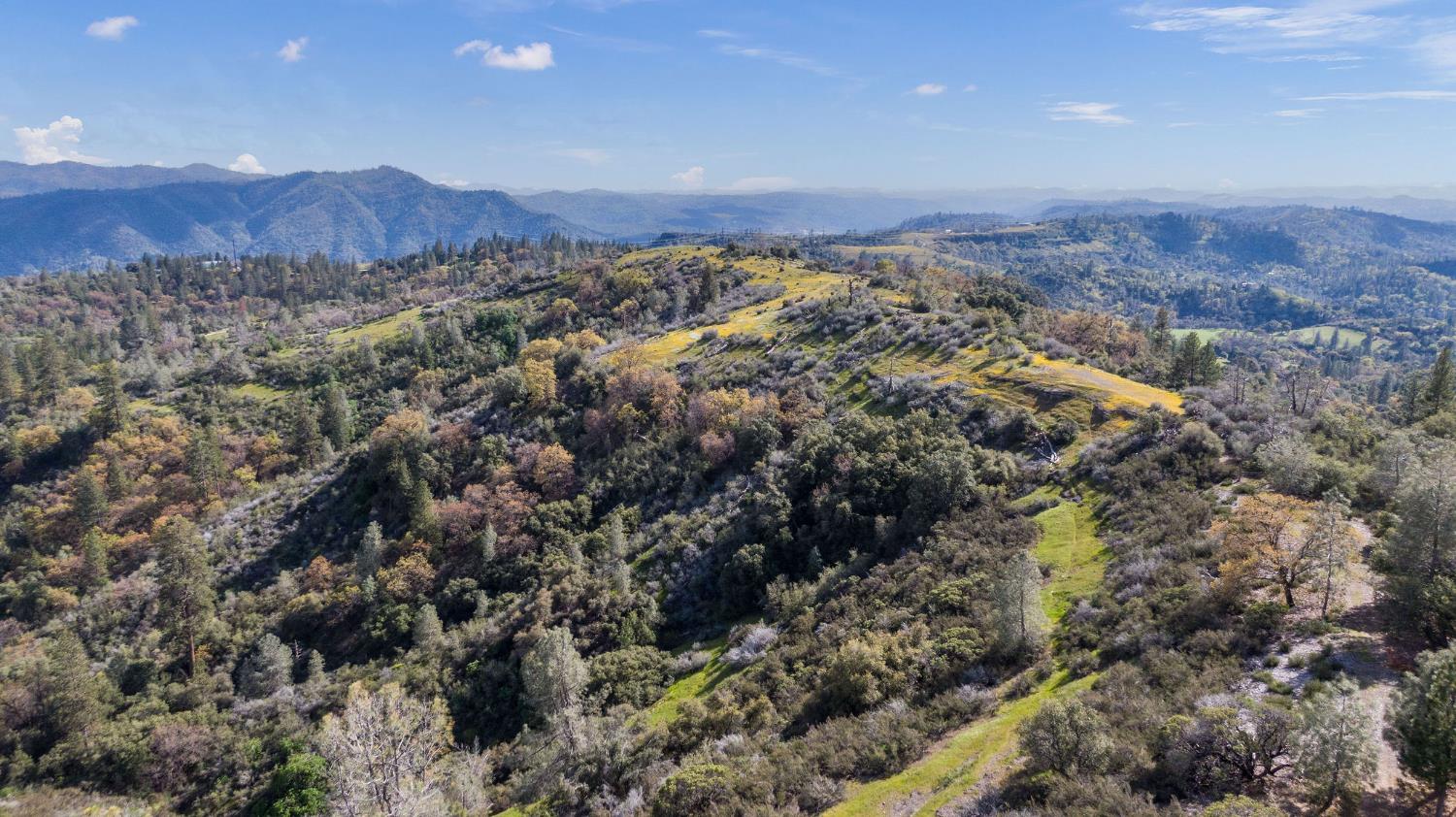 1 Pennsylvania Gulch Road Murphys, CA 95247 - Photo 18 of 40