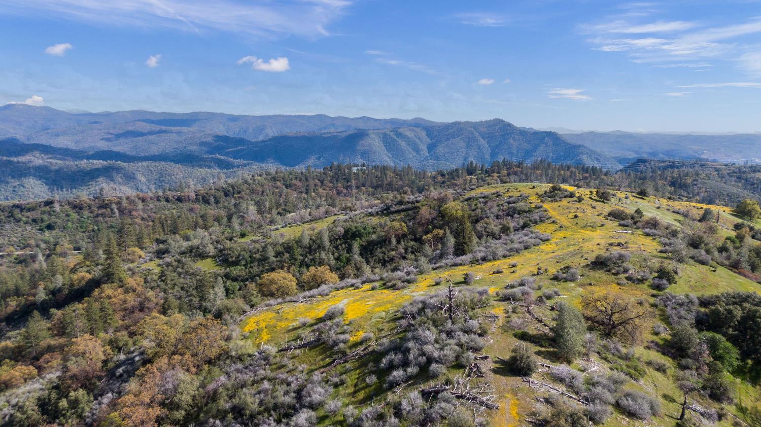 1 Pennsylvania Gulch Road Murphys, CA 95247 - Photo 26 of 40