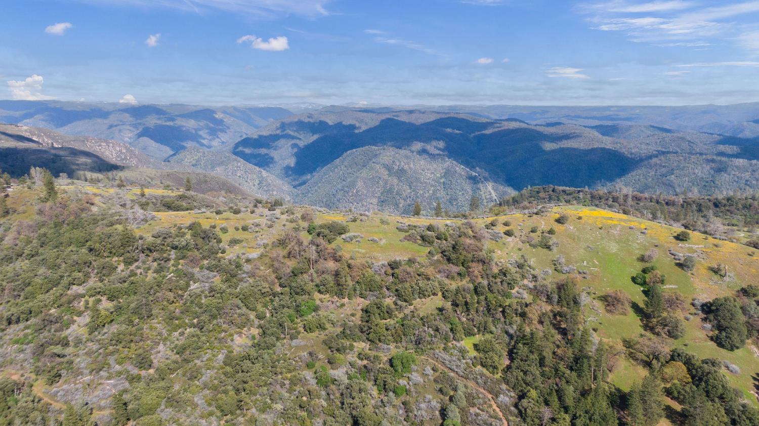 1 Pennsylvania Gulch Road Murphys, CA 95247 - Photo 28 of 40