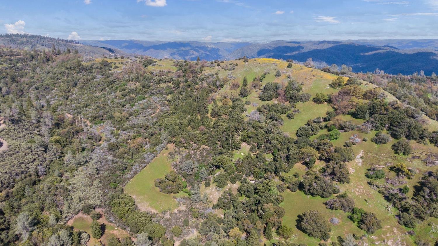 1 Pennsylvania Gulch Road Murphys, CA 95247 - Photo 29 of 40