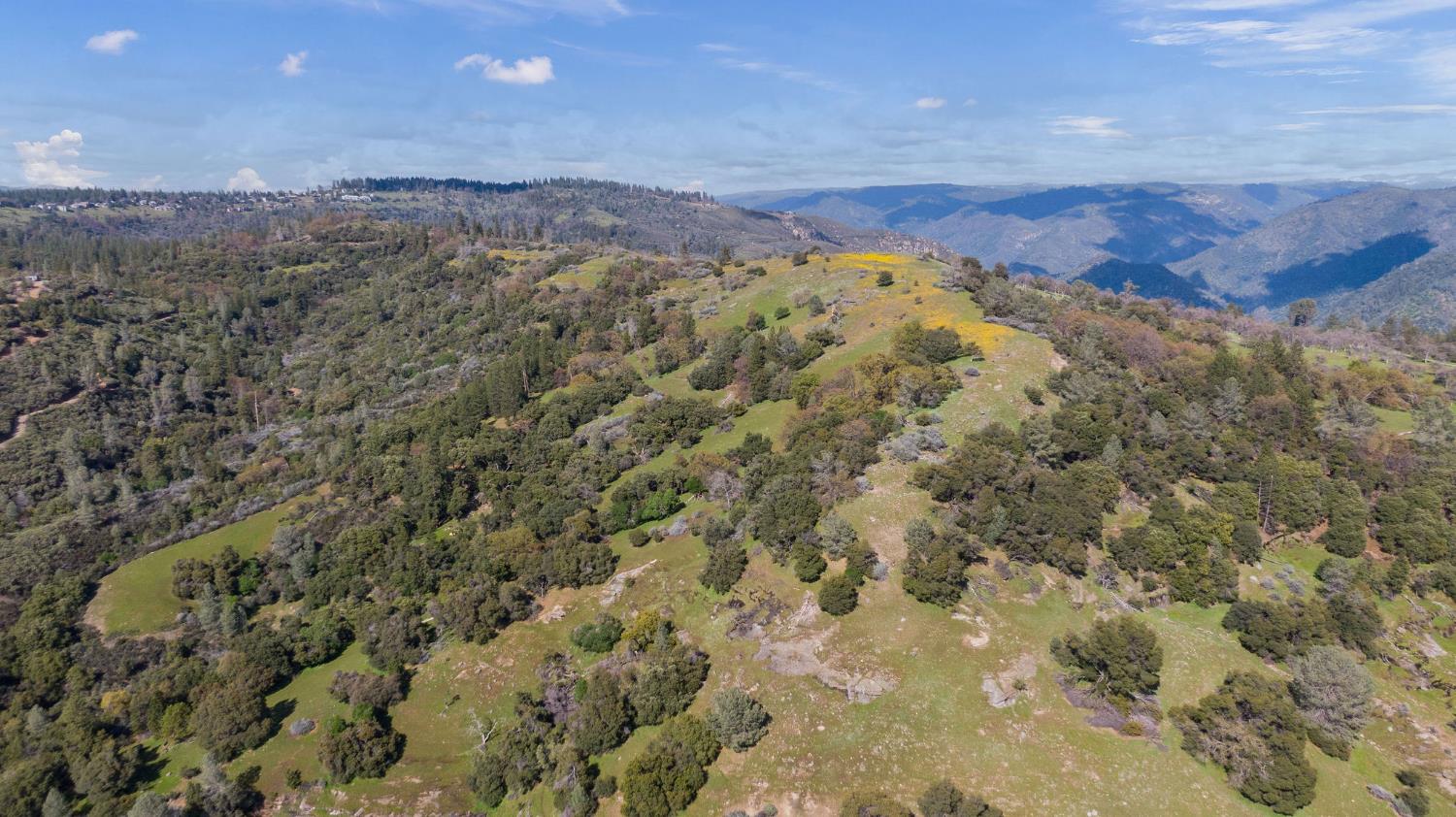 1 Pennsylvania Gulch Road Murphys, CA 95247 - Photo 31 of 40