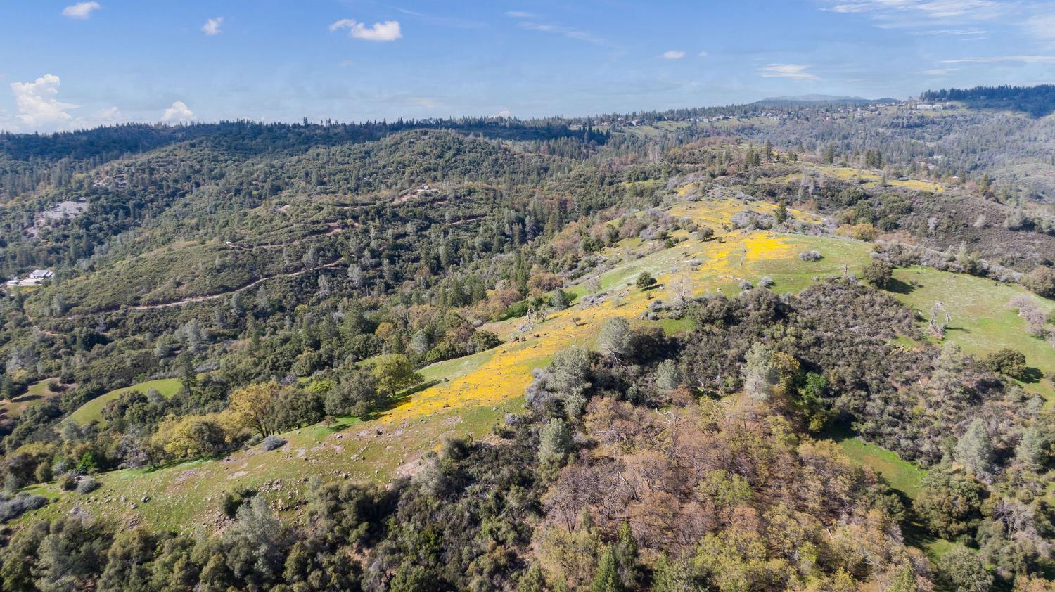 1 Pennsylvania Gulch Road Murphys, CA 95247 - Photo 32 of 40