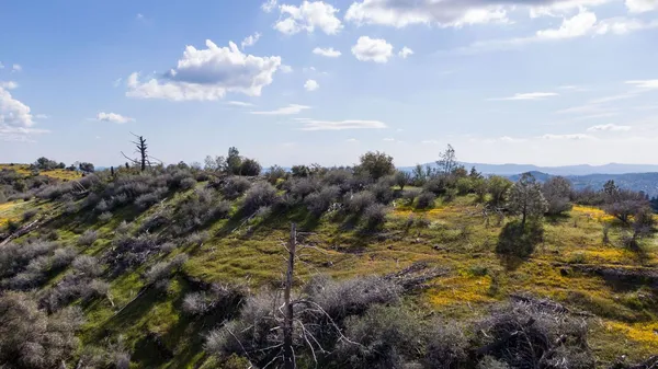 $299,000 | 1 Pennsylvania Gulch Road, Murphys, CA 95247