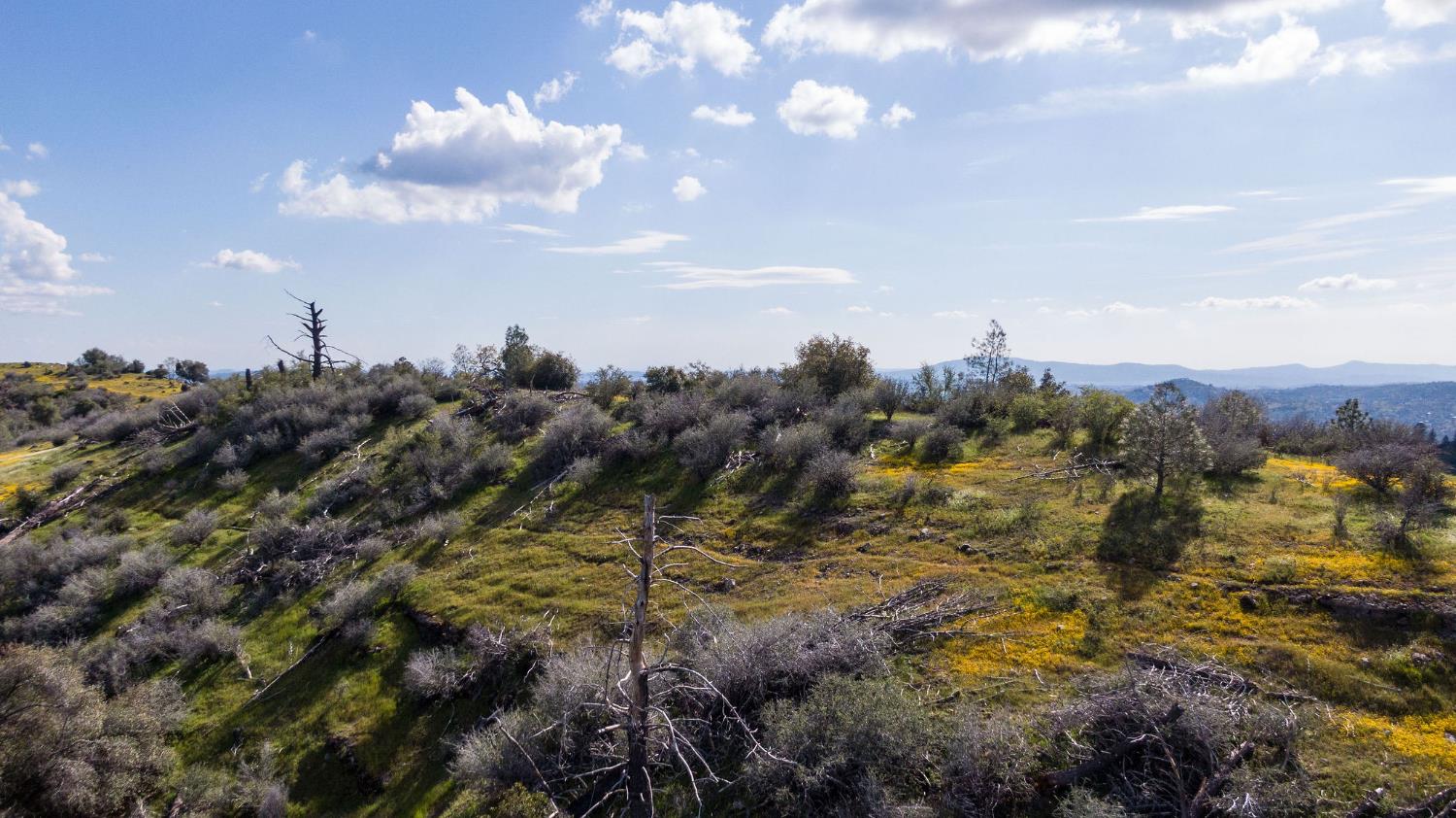 1 Pennsylvania Gulch Road Murphys, CA 95247 - Photo 33 of 40