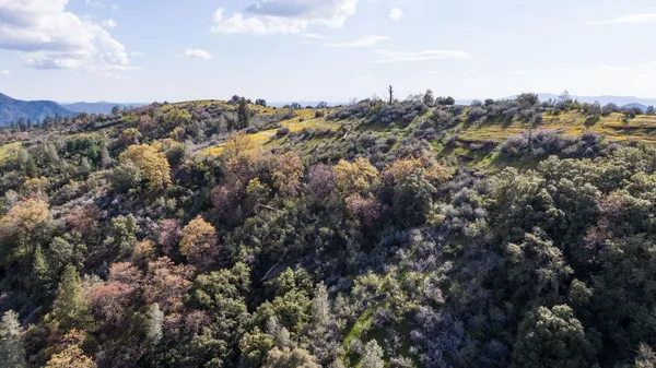 $299,000 | 1 Pennsylvania Gulch Road, Murphys, CA 95247