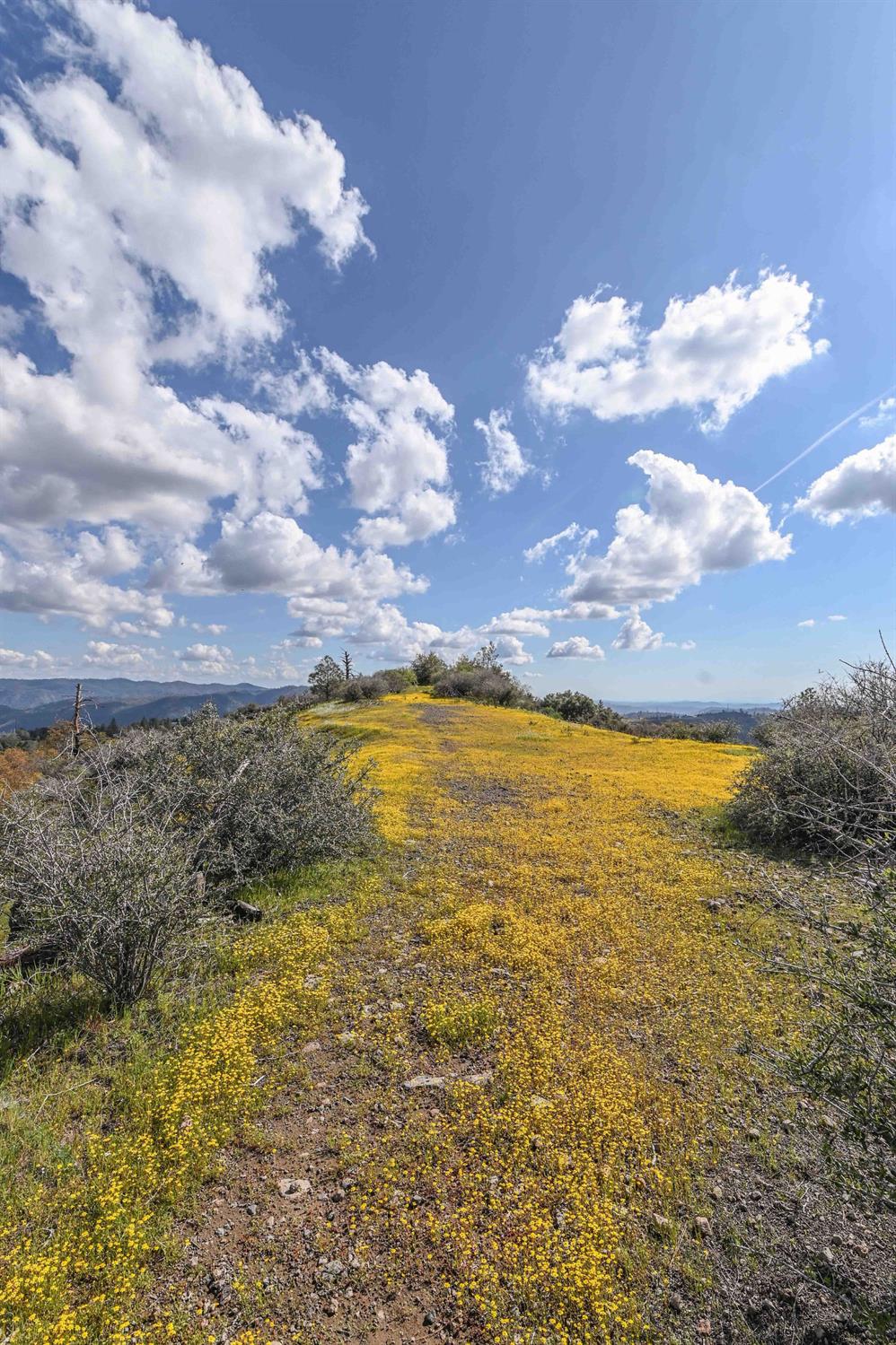 1 Pennsylvania Gulch Road Murphys, CA 95247 - Photo 40 of 40
