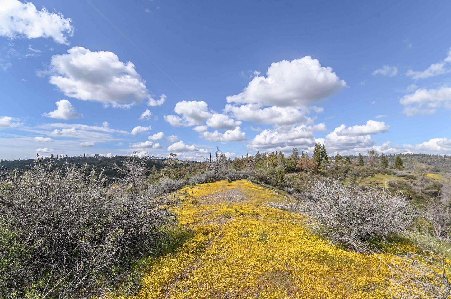 1 Pennsylvania Gulch Road Murphys, CA 95247 - Photo 6 of 40