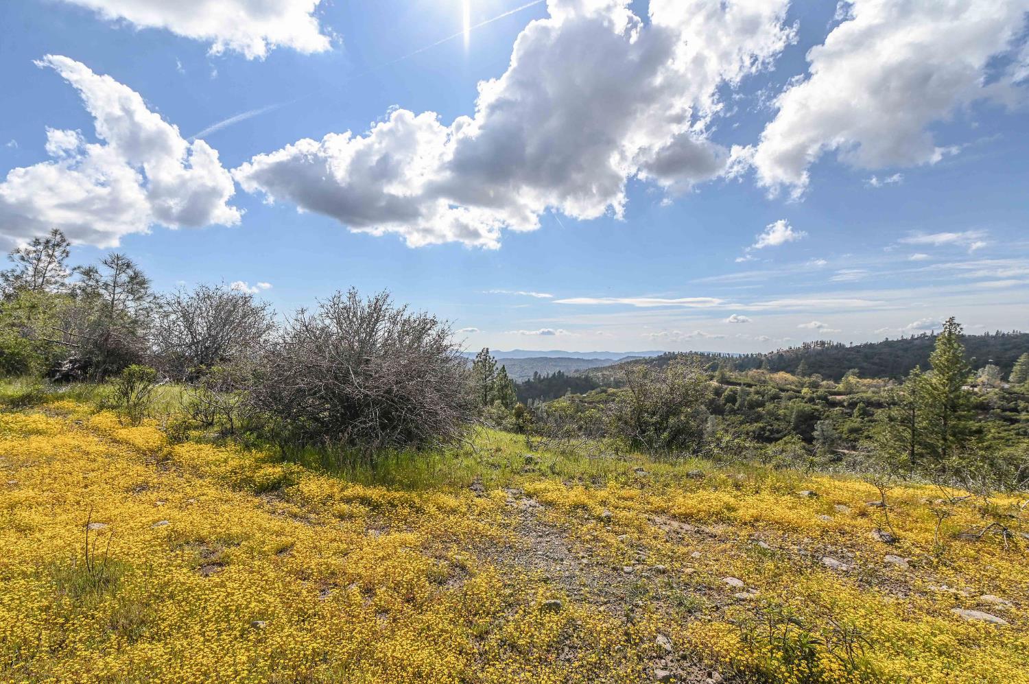 1 Pennsylvania Gulch Road Murphys, CA 95247 - Photo 8 of 40