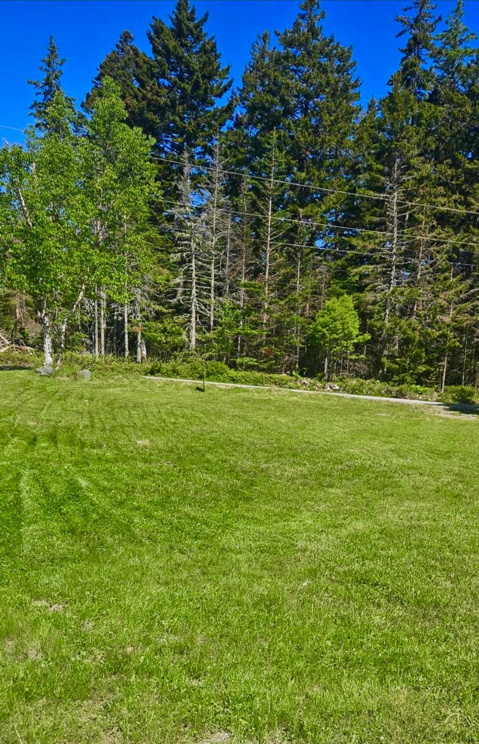 56 Dodge Point Road Tremont, ME 04612 - Photo 6 of 26 Peaceful and sunny