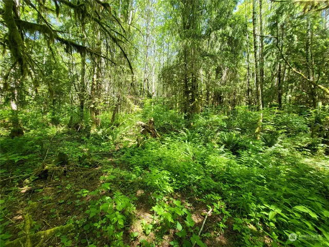 a view of a swimming pool with a yard