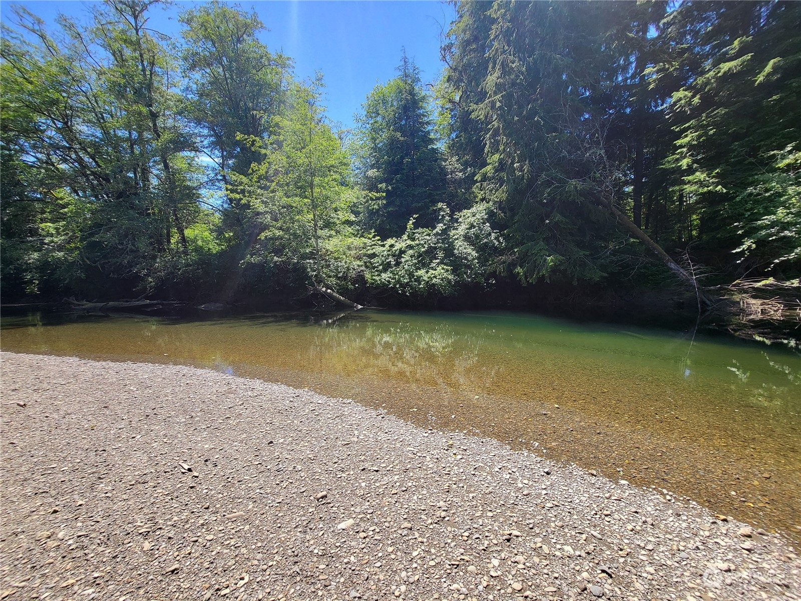 276 Sekiu River Road Sekiu, WA 98381 - Photo 15 of 18 a view of a swimming pool with a yard