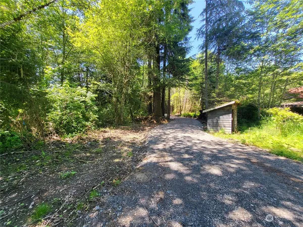 a view of a backyard with large trees