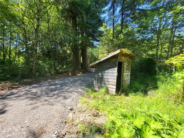 a backyard of a house with plants and large trees
