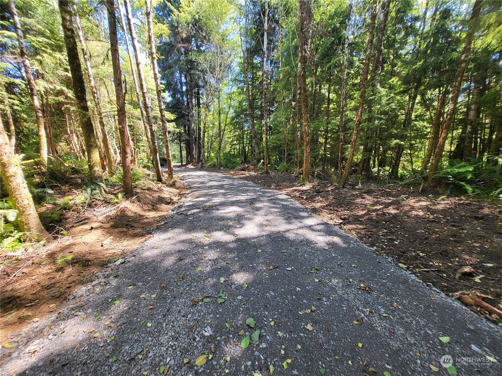 276 Sekiu River Road Sekiu, WA 98381 - Photo 8 of 18 a view of outdoor space with trees